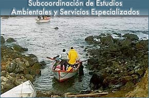 Subdirección de Estudios Ambientales y Servicios Especializados