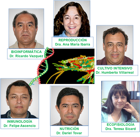 Investigadores de grupo de trabajo.