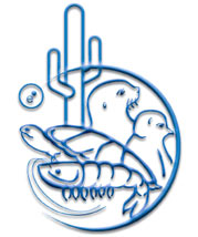 EOX Logo