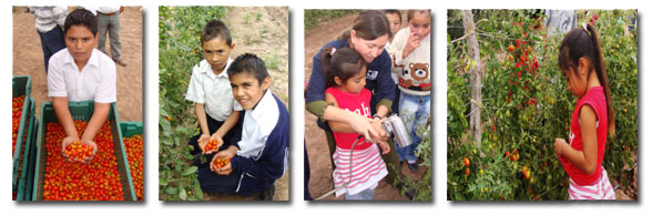 Enseñanza de de conocimientos en agricultura orgánica a niños del desierto de Tepentú B.C.S. Enseñanza de de conocimientos en agricultura orgánica a niños del desierto de Tepentú B.C.S.
