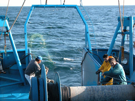Barco en pesca