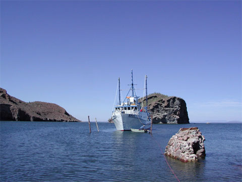 BIP 12 en isla BIP 12 en isla