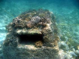 Artificial coral reef