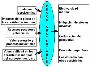 Sustainable fishing chart