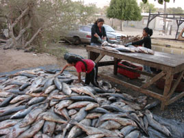 Familia de pescadores