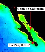 B.C.S. Map