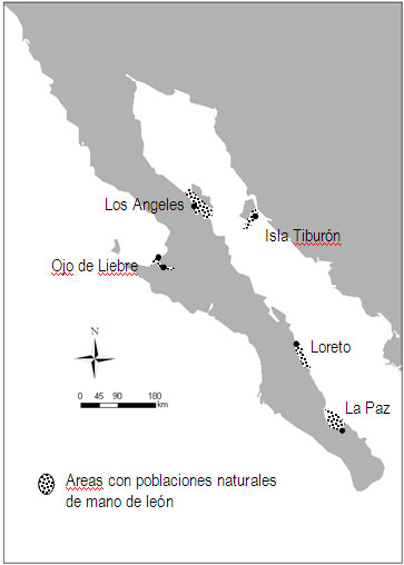 Mapa sobre población almeja mano de león