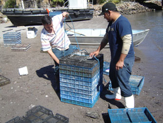 Jaulas de cultivo