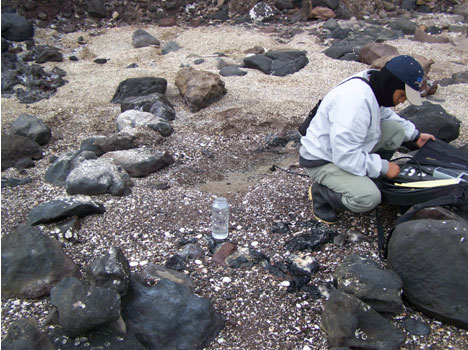 Mediciones físico químicas y de Radón 222 de un sitio de salida de agua dulce subterránea en Bahía Concepción. Mediciones físico químicas y de Radón 222 de un sitio de salida de agua dulce subterránea en Bahía Concepción.