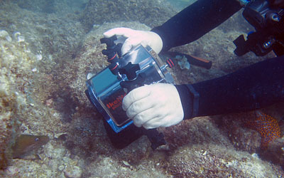 Servicios de Buceo Servicios de Buceo