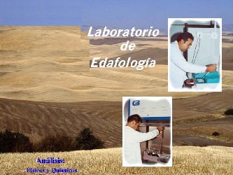 Personal de Laboratorio