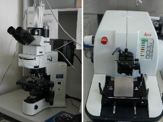 Equipo de Laboratorio