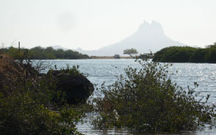 Planeación y Conservación