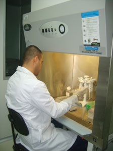 Laboratorio