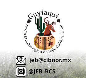 Aviso importante Jardín Etnobiológico Guyiaqui 