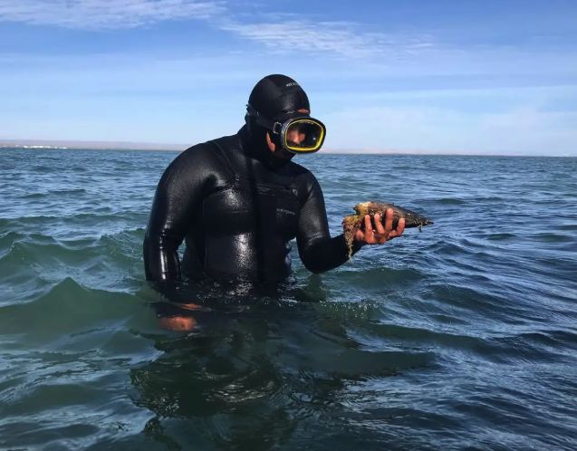 Captura de Pantalla 2025 06 25 a las 10.28.23