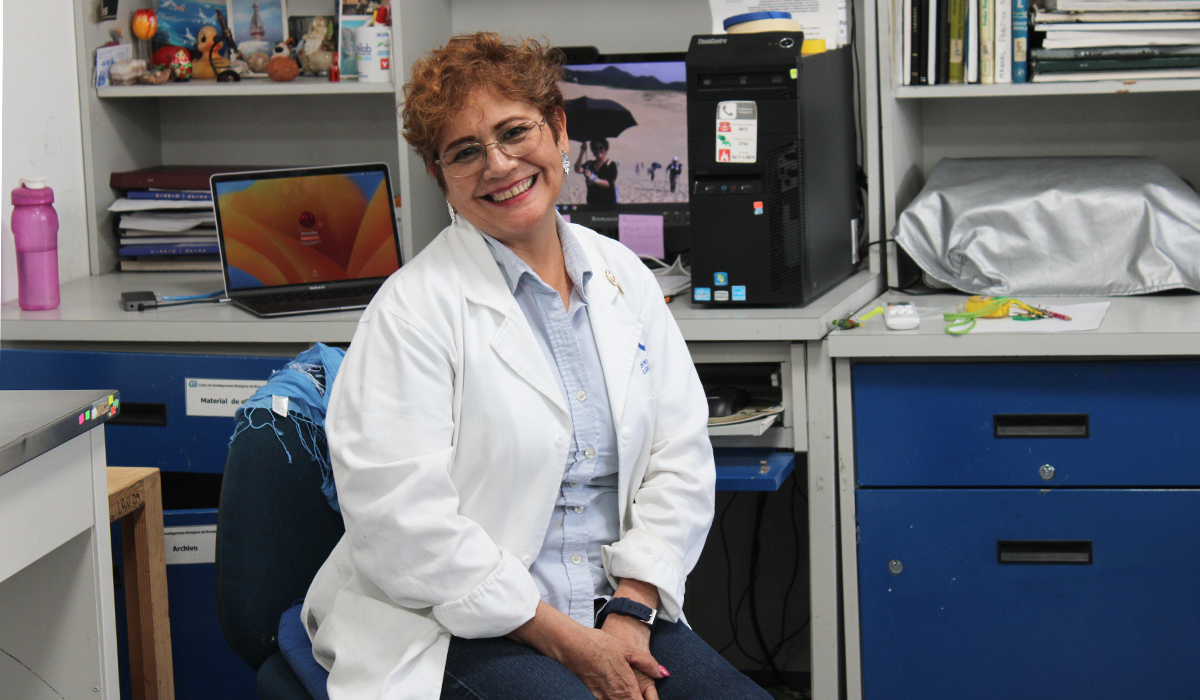 ¿Qué hacemos en el Laboratorio de Diagnóstico Microbiológico del Cibnor?