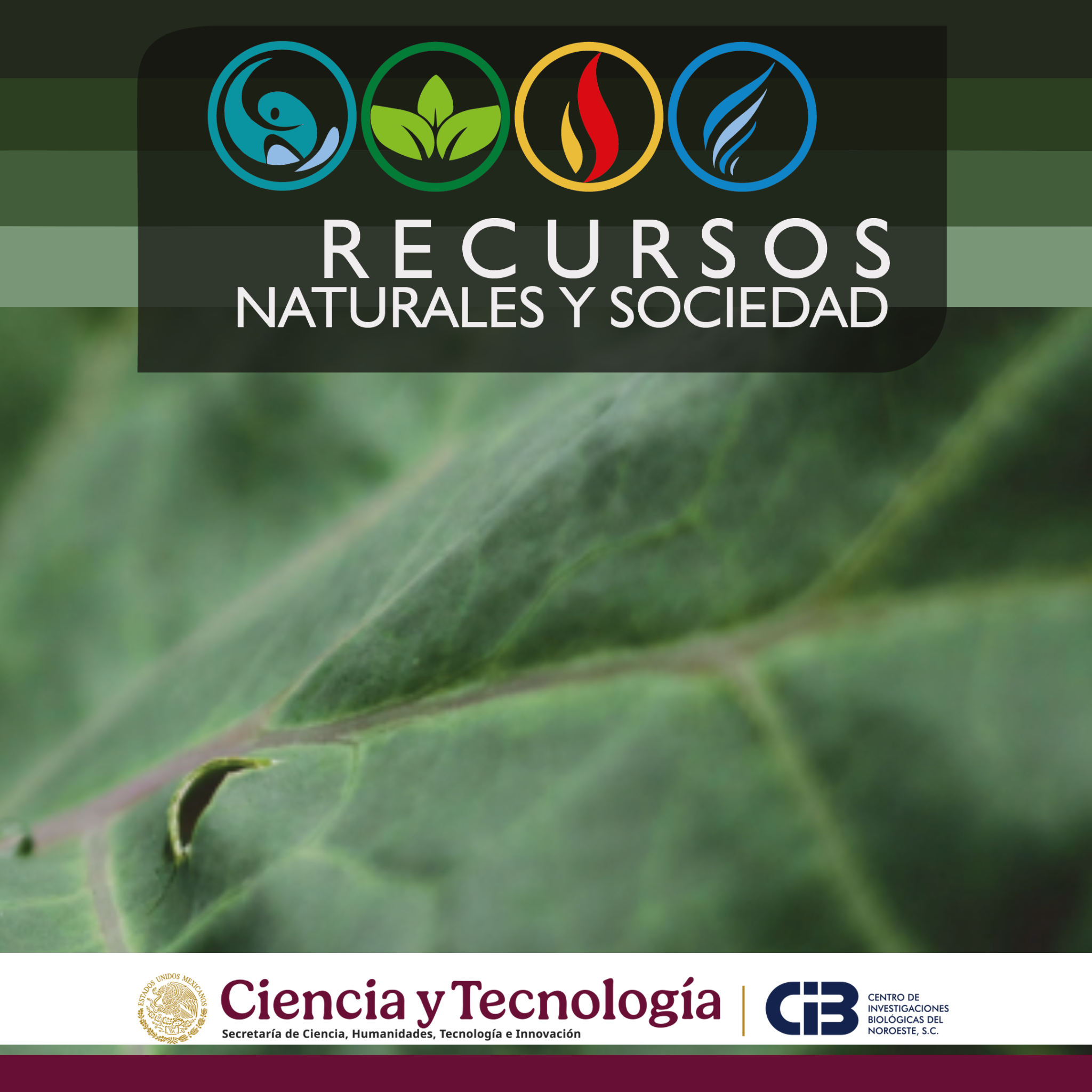 Revista Recursos Naturales y Sociedad 3