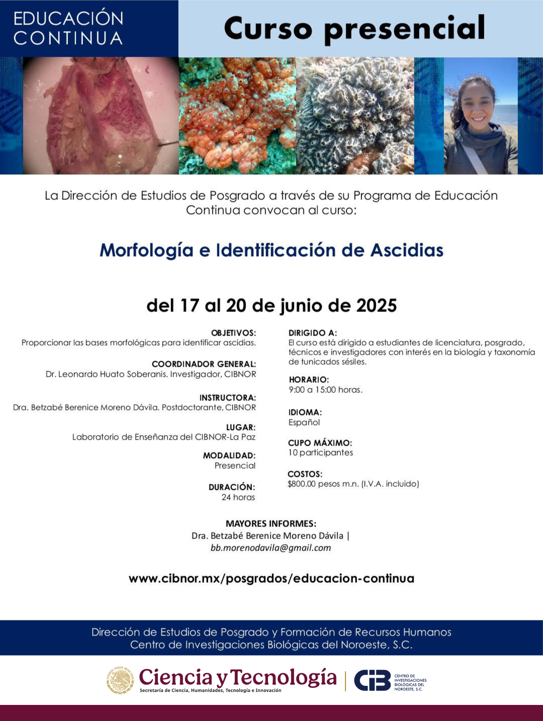 carteles 