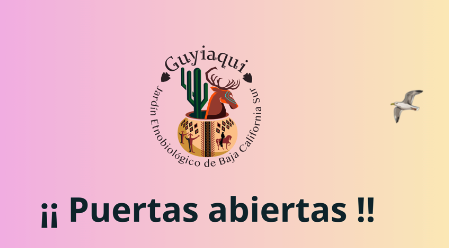 Día Internacional de la Biodiversidad 
