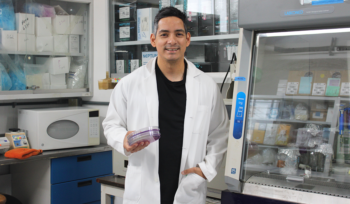 Interacciones entre plantas y bacterias