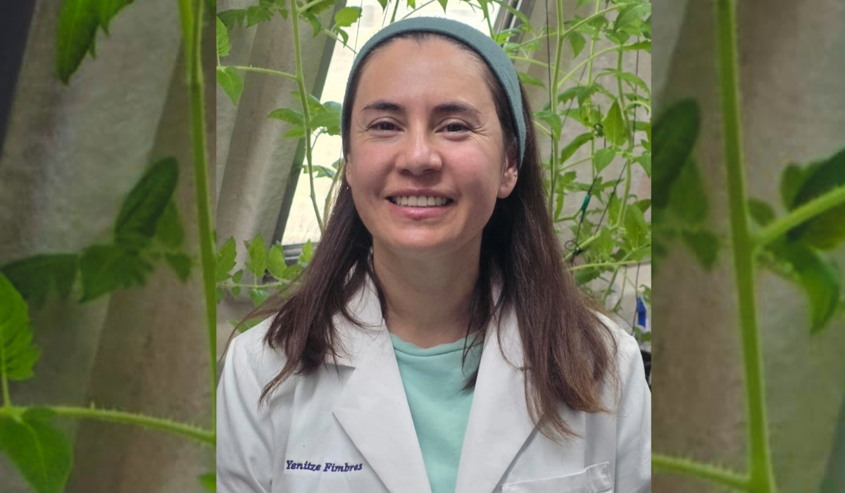 Innovación de sistemas alimentarios agroacuícolas