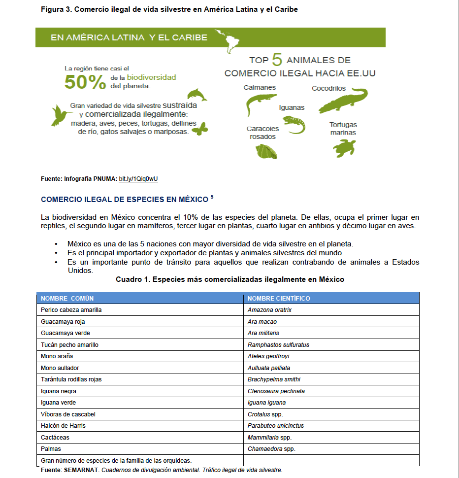 Captura de pantalla 2016 06 03 a las 16.09.49