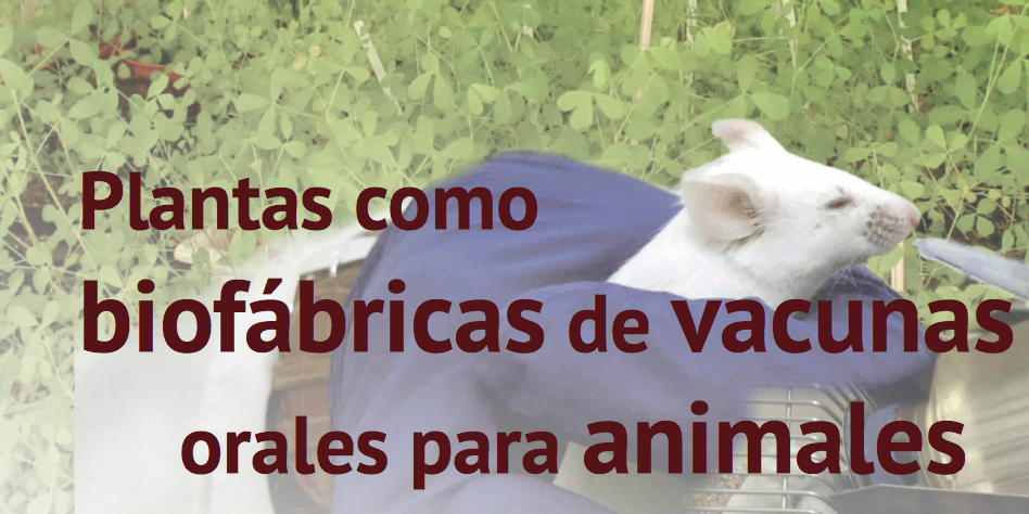 Captura de pantalla 2016 07 19 a las 12.16.19