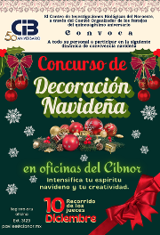 Decoracion