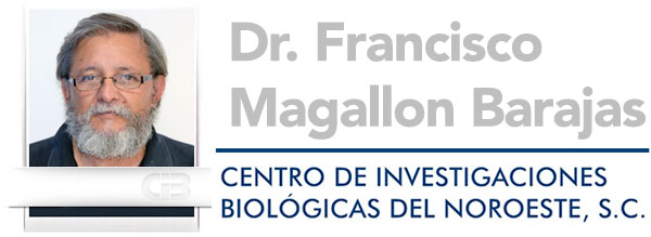 Magallon