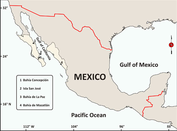 Map of México map