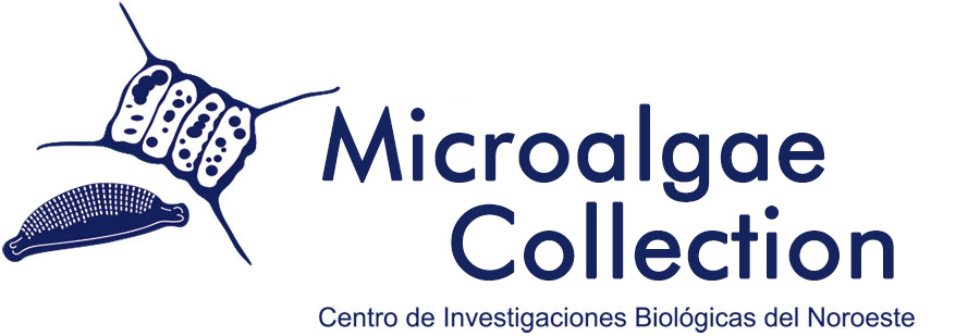 Logo Microalgas microalgas logo