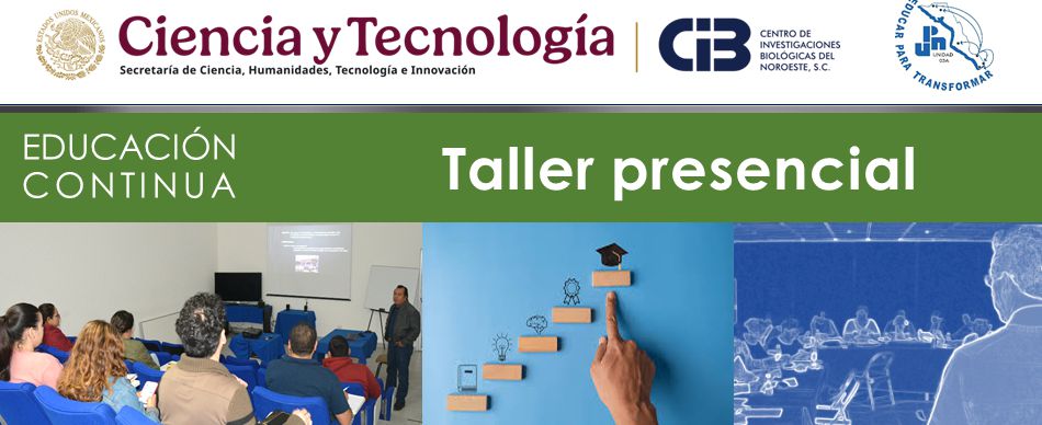 cintilllo taller Planeacion 20251104