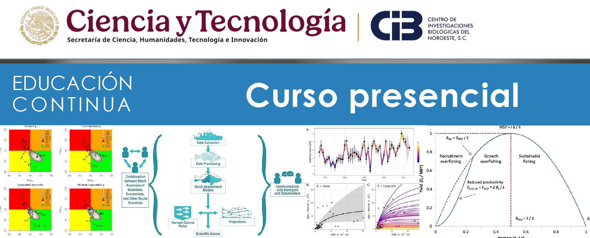 cintillo curso 140 Evaluacion de stocks bajo modelado WHAM 20251110
