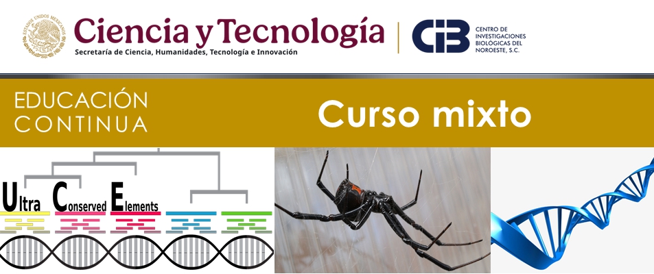 Ejemplo de Imagen a mostrar en encabezado